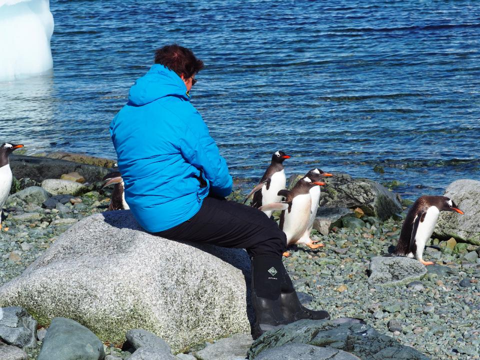 blogi-pingviinit-etelemantereen-risteily-olympia