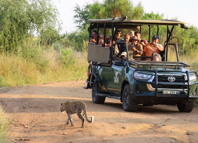 Leopardi-on-harvinainen-naky-Etela-Afrikka