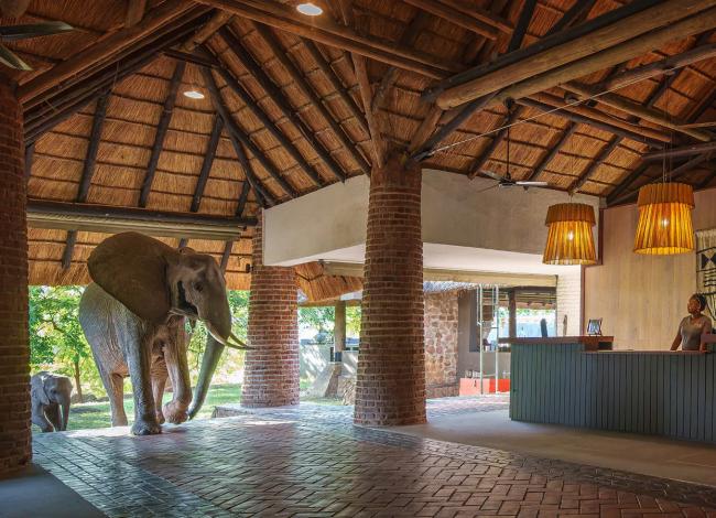 Mfuwe-Lodge-Etela-Luangwan-kansallispuisto-Sambia