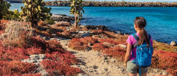Aktiivimatka-Galapagos-Olympia
