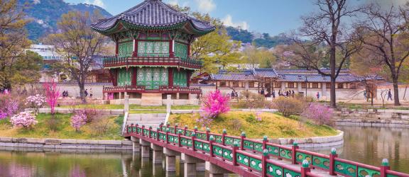 Gyeongbokgung-palatsialue-kirsikankukkien-aikaan-Etela-Korea-Olympia