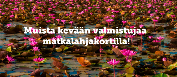 Matkalahjakortti