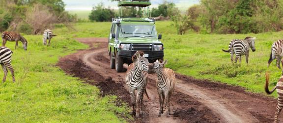 Safariajo-Tansania-Olympia-Kaukomatkat
