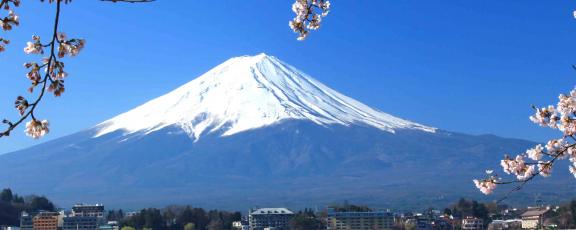 Fuji-tulivuori-ja-sakura-Japani-Olympia