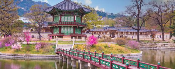 Gyeongbokgung-palatsialue-kirsikankukkien-aikaan-Etela-Korea-Olympia