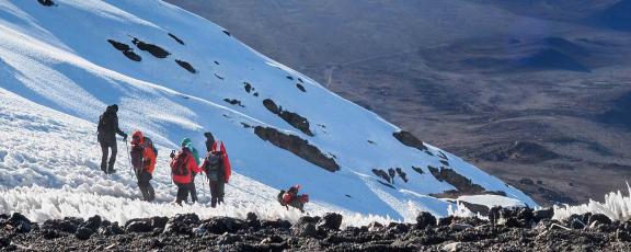 Kilimanjaro-Olympia-Kaukomatkat