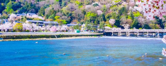 Kirsikankukka-aika-Japani-risteily