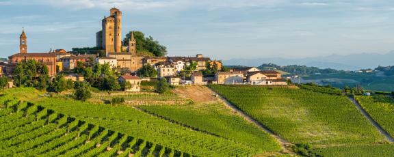 Serralunga d'Alban viinitarhat Piemonte Italia Olympia