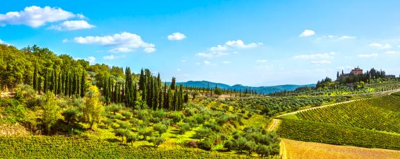 Viinitiloja-Radda-in-Chianti-Italia-Olympia