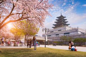 Elämää-Gyeongbokgungin-palatsialueella