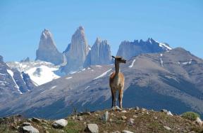 Torres-del-Painen-kansallispuisto-Patagoniassa