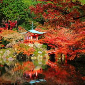 Daigo-ji-temppeli-Kioto-Japani-Olympia