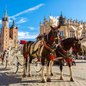 Hevosvaunut-Krakova-Puola-Olympia