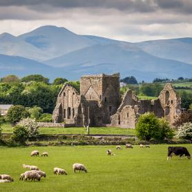 Idyllinen-maisema-Irlanti-Olympia-kiertomatkat