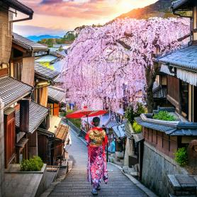 Kirsikankukat ja geisha-kortteli_Japani.