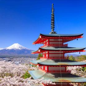 Kiyomize-temppeli-sakura-ja-Fuji-tulivuori-Kioto-Japani