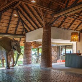 Mfuwe-Lodge-Etela-Luangwan-kansallispuisto-Sambia