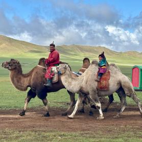 Siirtyma-kamelilla-Mongolia-Olympia