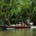 Pitkähäntävene Batang Ain kansallispuisto Borneo