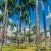 Place-des-Palmistes-Cayenne-Ranskan-Guayana
