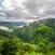 Reheva-vuoristokasvillisuus-Bwindin-kansallispuisto-Uganda