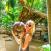 Suuri-Coco-de-Mer-kookospahkina-paikallinen-erikoisuus-Seychellit