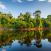 Vehrea-luonto-Suriname – kopio