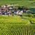Viininviljelyksiä Beaunessa Ranska