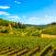 Viinitiloja-Radda-in-Chianti-Italia.