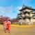 Kirsikankukkapuita ja geishoja Hirosakin linnan edessä Japanissa