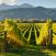 viinitarhat-Marlborough-Uusi-Seelanti