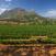 Runsas viinitila vuoren katveessa Afrikassa