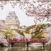 Kaunis-Himejin-linna-kirsikankukka-aikaan-Japani