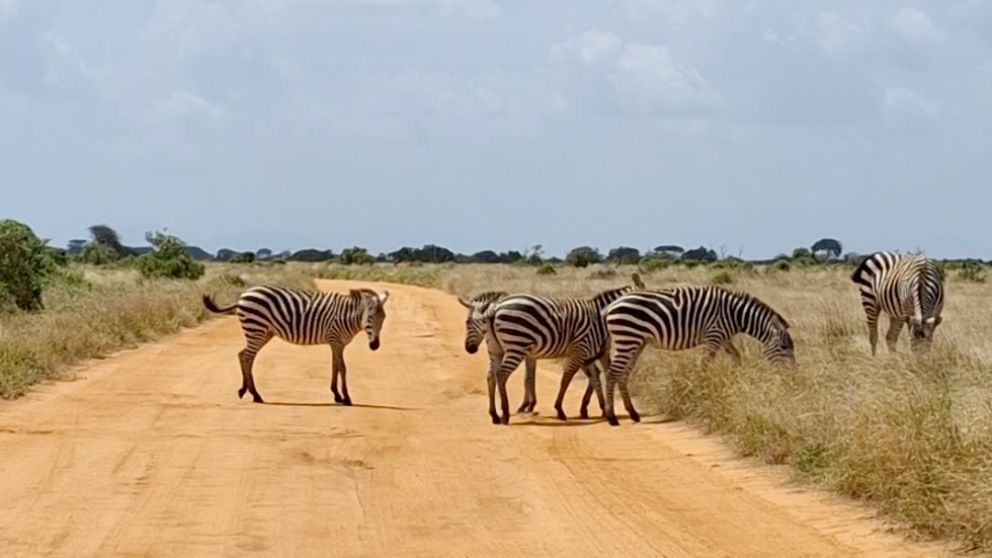Kenian-safari-Tsavossa-ja-Amboselissa