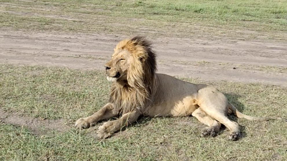 Kiehtova-Kenia-Olympia